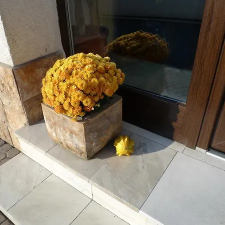 Prokop براغ